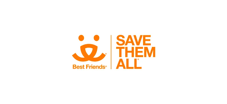 Как оплатить Best friends из России в 2026 году