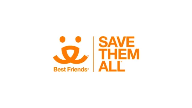 Как оплатить Best friends из России в 2026 году