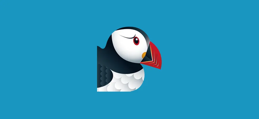 Как оплатить Puffin Browser из России в 2026 году