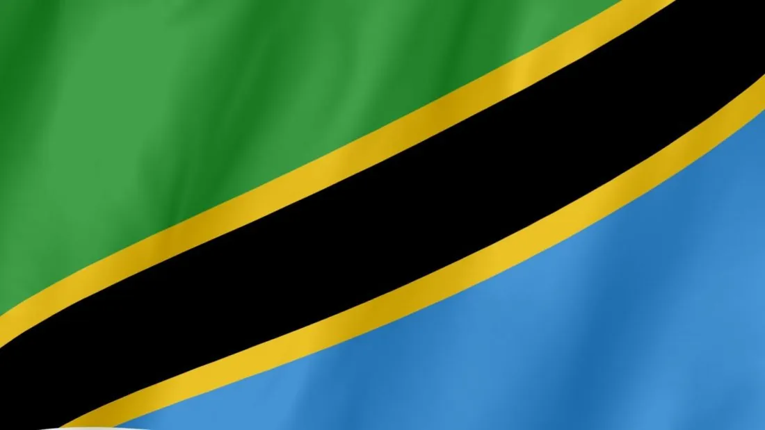 Как перевести деньги из России в Танзанию и наоборот в 2026 году