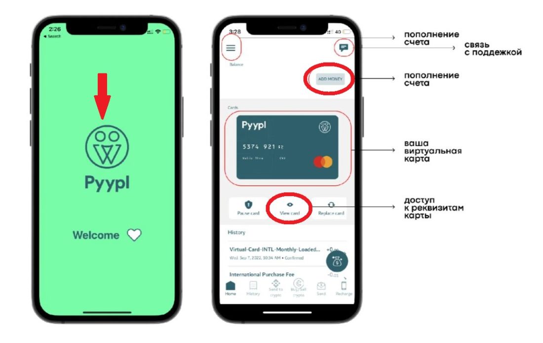 как выглядит прилож.JPG