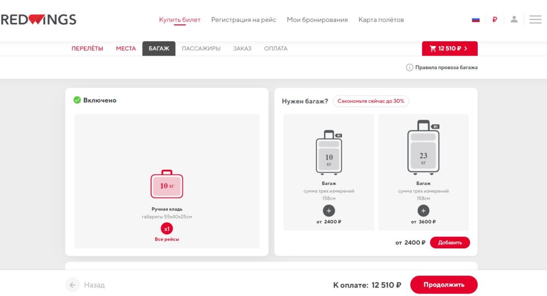 определиться с ручной кладью.JPG