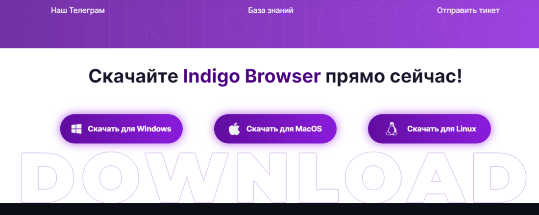 Indigo_4.png