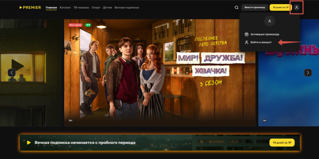 Как выбрать и оплатить подписку Premier 2024-01-08_14-19-21.png