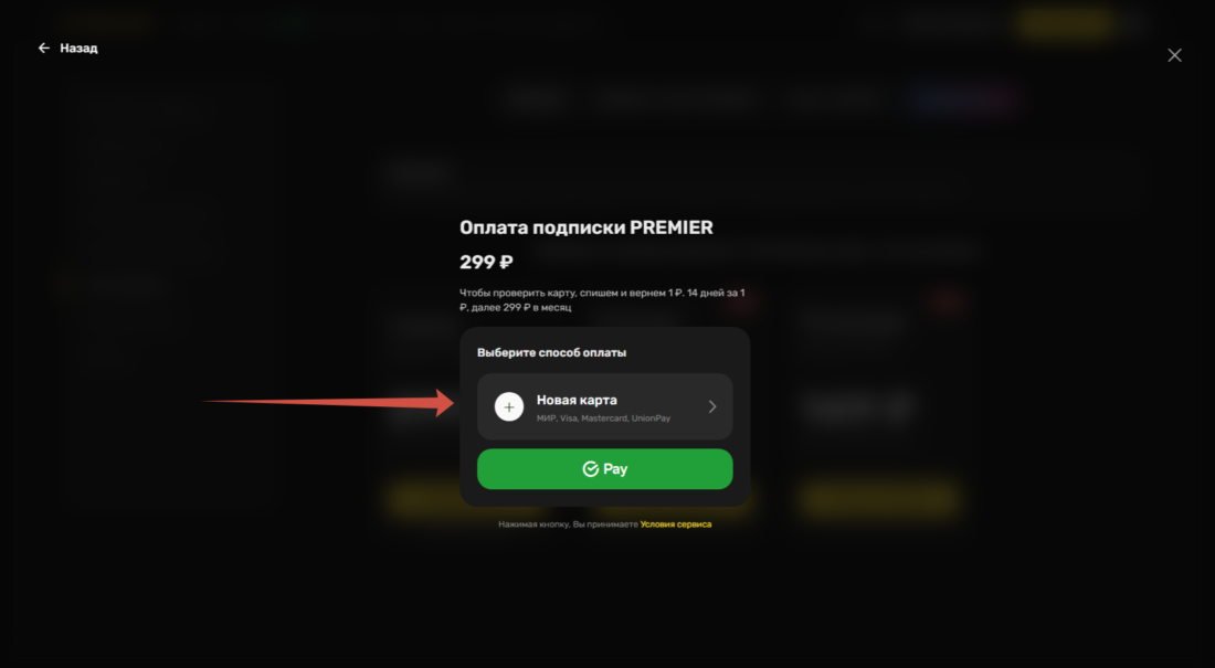 Как выбрать и оплатить подписку Premier 2024-01-08_14-49-13.png