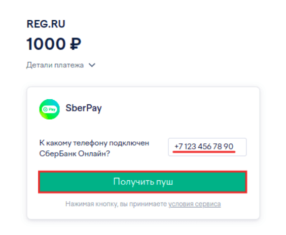 оплата рег.ру 14.png