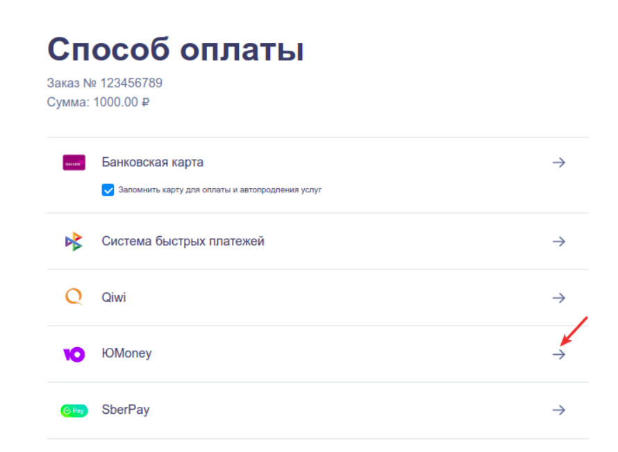 оплата рег.ру 19.png