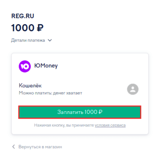 оплата рег.ру 20.png