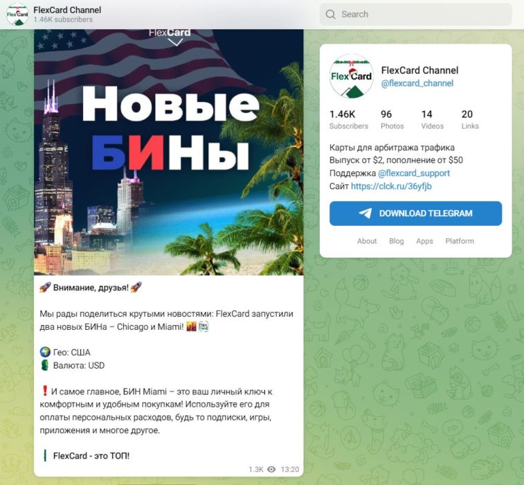 новые бины.JPG