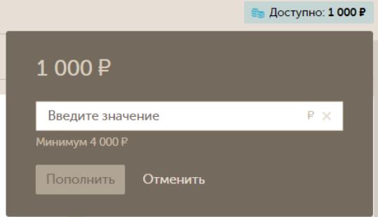 пополнить баланс.JPG