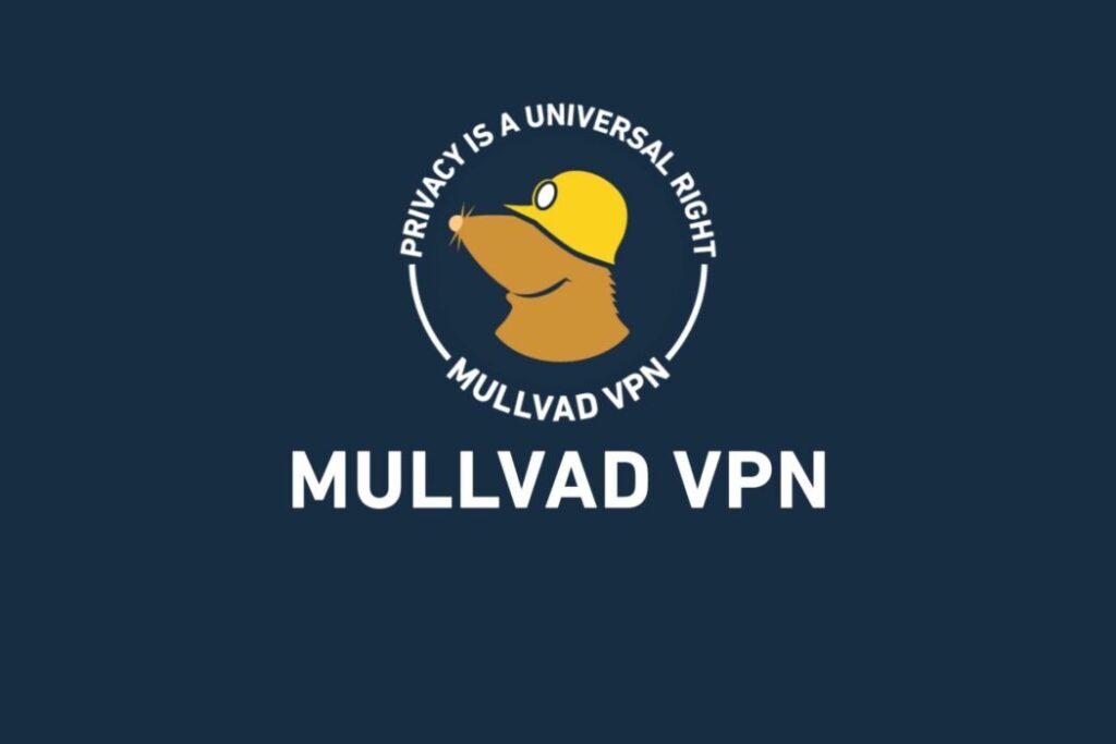 Как оплатить Mullvad Vpn из России