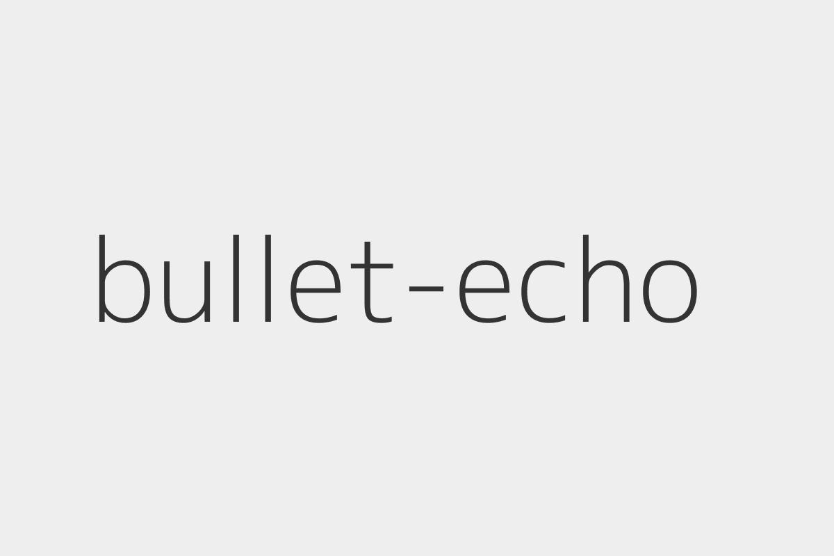 Как оплатить Bullet Echo из России в 2026