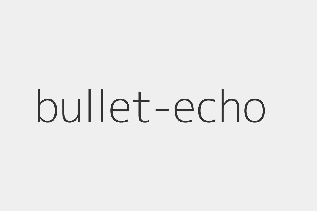 Как оплатить Bullet Echo из России в 2026